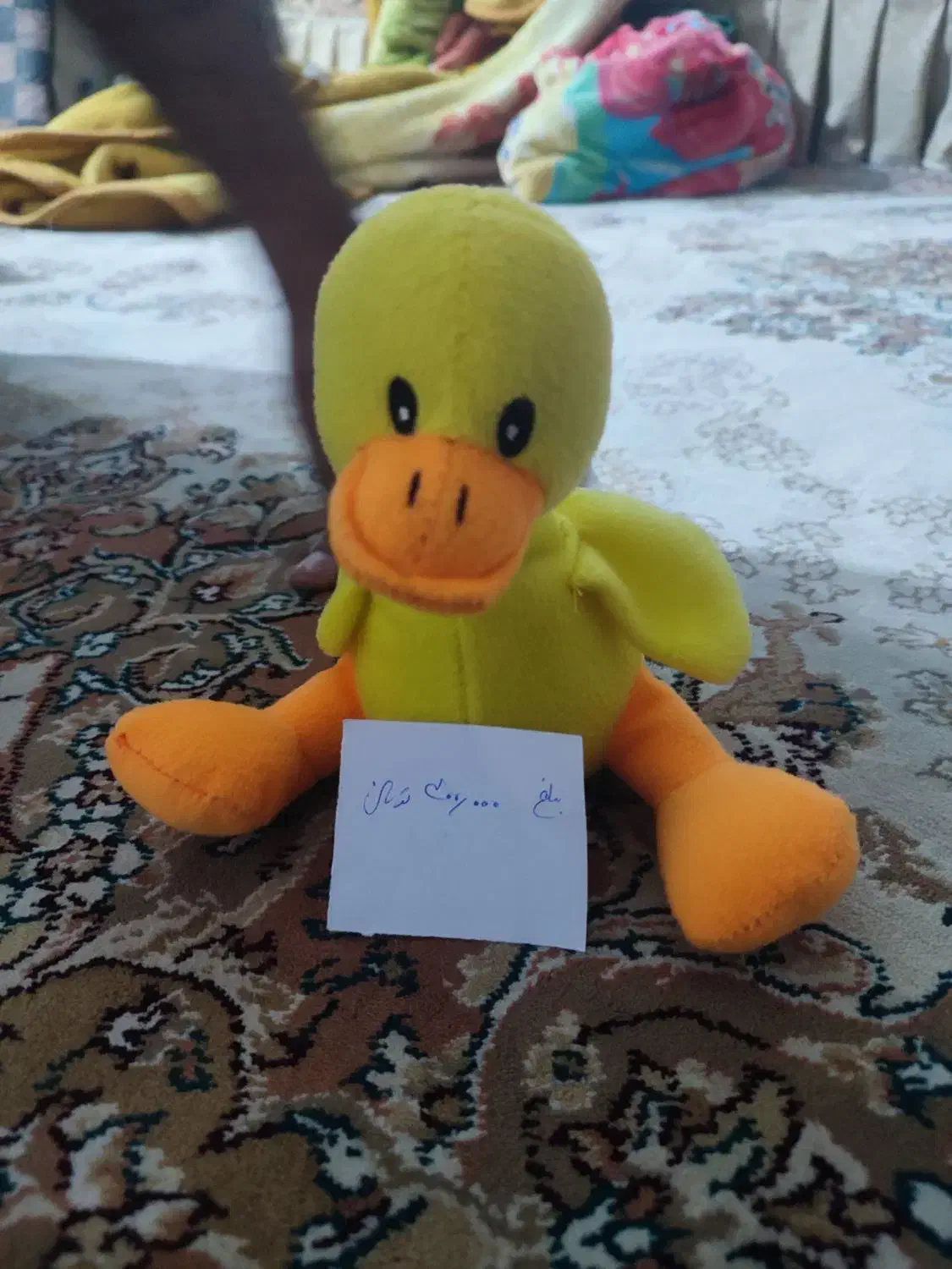 عروسک|اسباببازی|اصفهان, ستار|دیوار