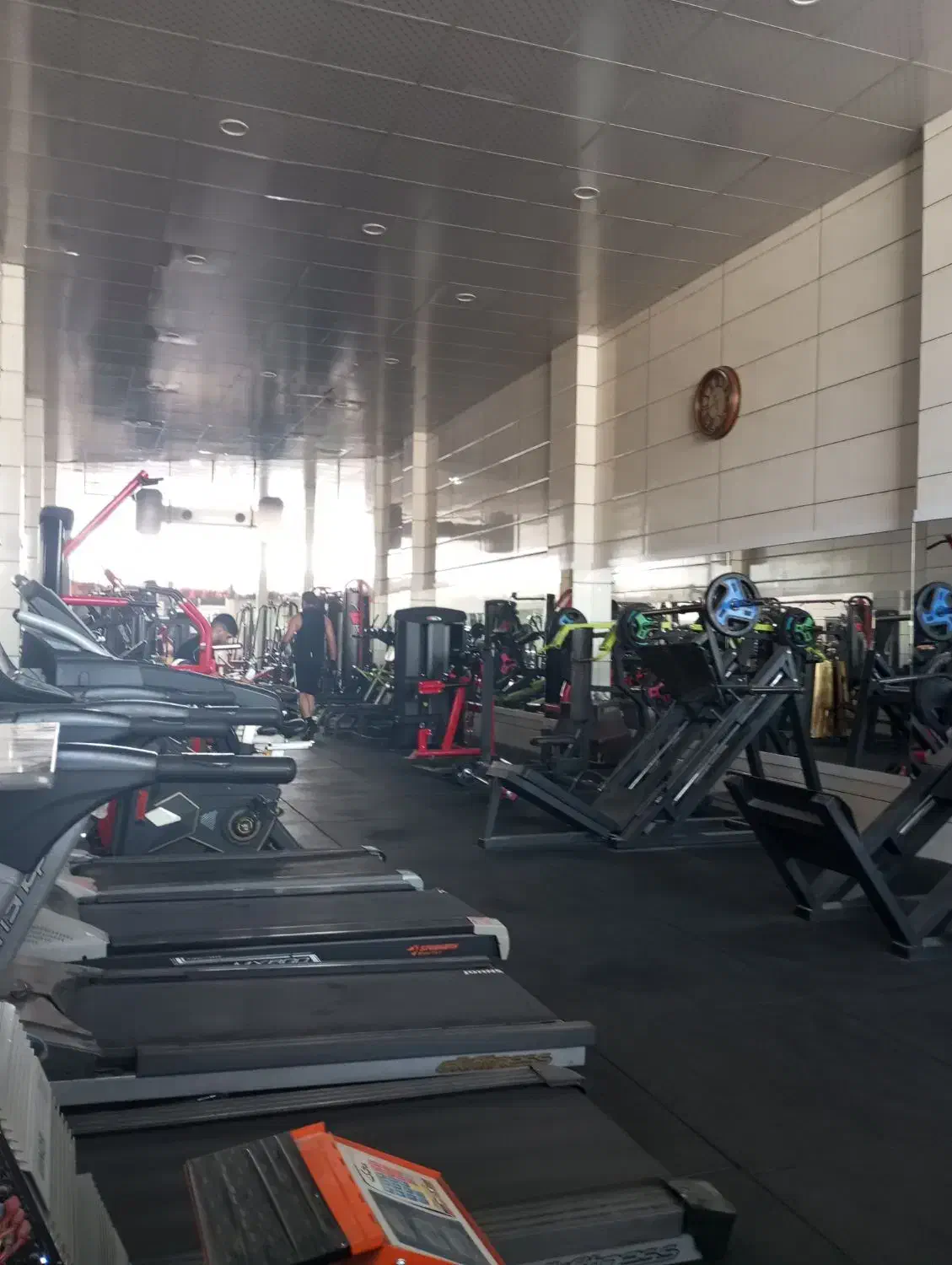 نیازمند به یک منشی مجرب|استخدام اداری و مدیریت|مرودشت, قانون|دیوار