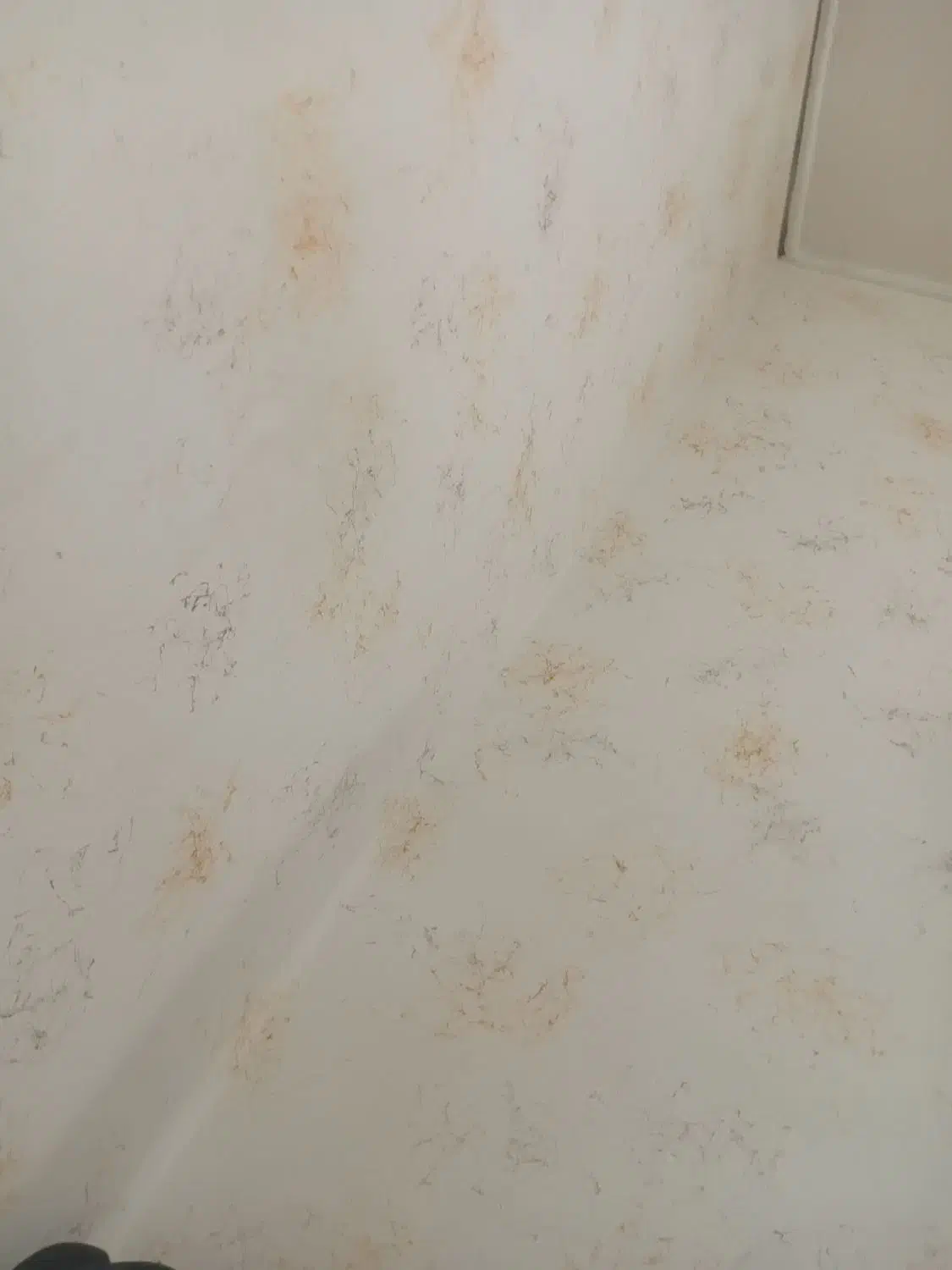 واحد مسکونی|اجارهٔ آپارتمان|بروجن, |دیوار