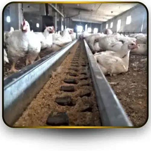 دانخوری مرغداری(تراف)|ماشینآلات صنعتی|خرم بید, |دیوار