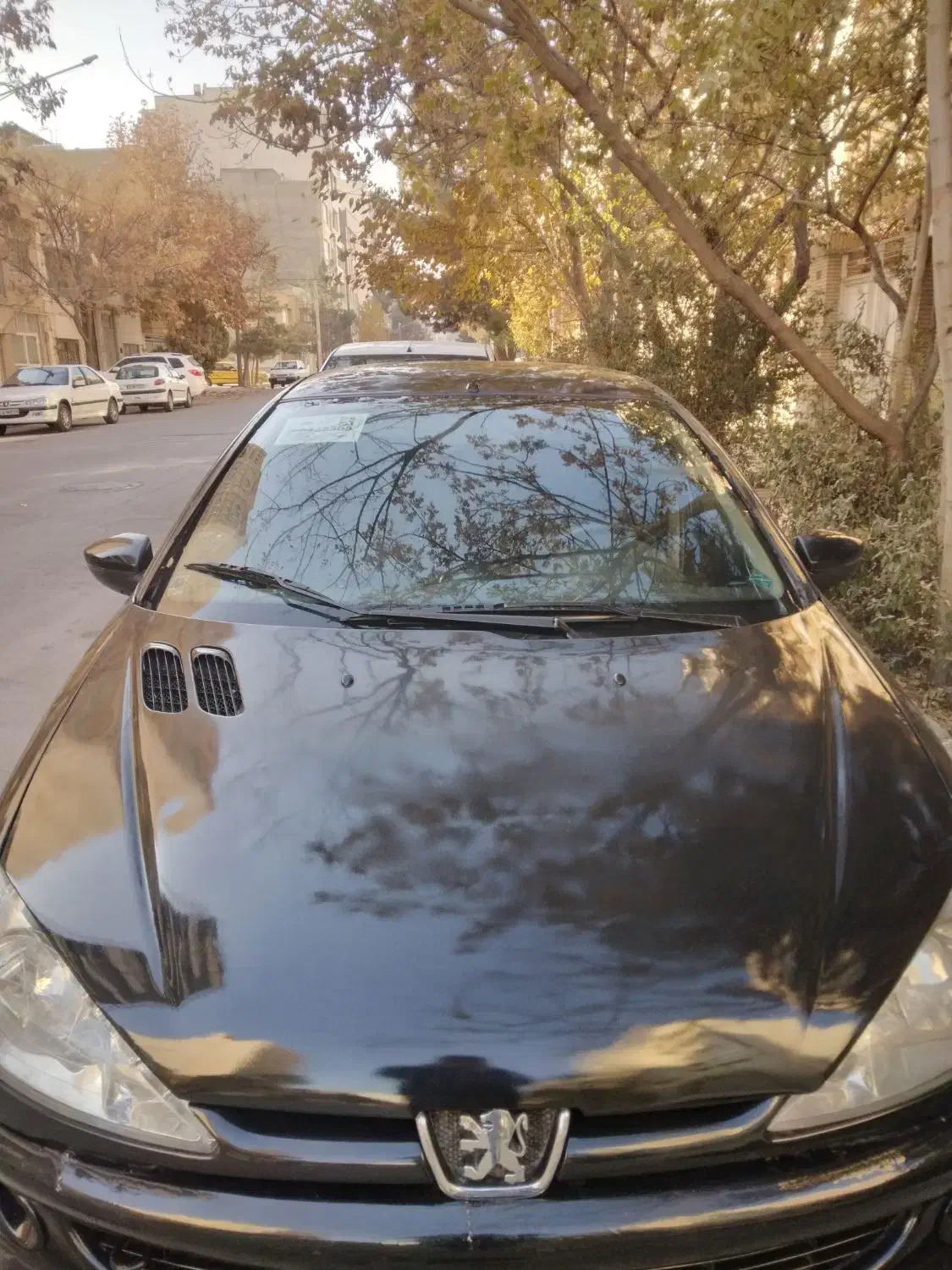 206 مدل ۸۱|خودرو سواری و وانت|مشهد, دانشجو|دیوار