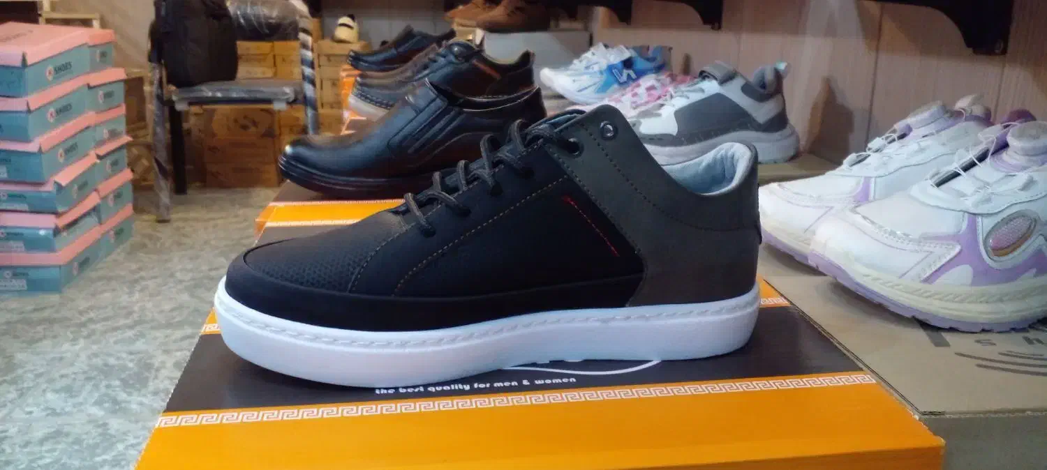 کفش البرز هورس دورنگ|کیف، کفش، کمربند|داراب, |دیوار