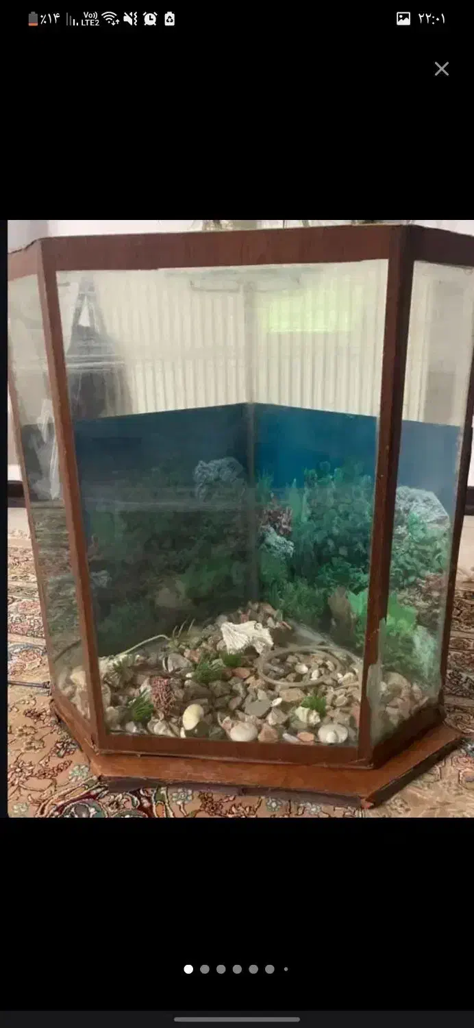 اکواریم با تمام وسایل|ماهی|برخوار, |دیوار