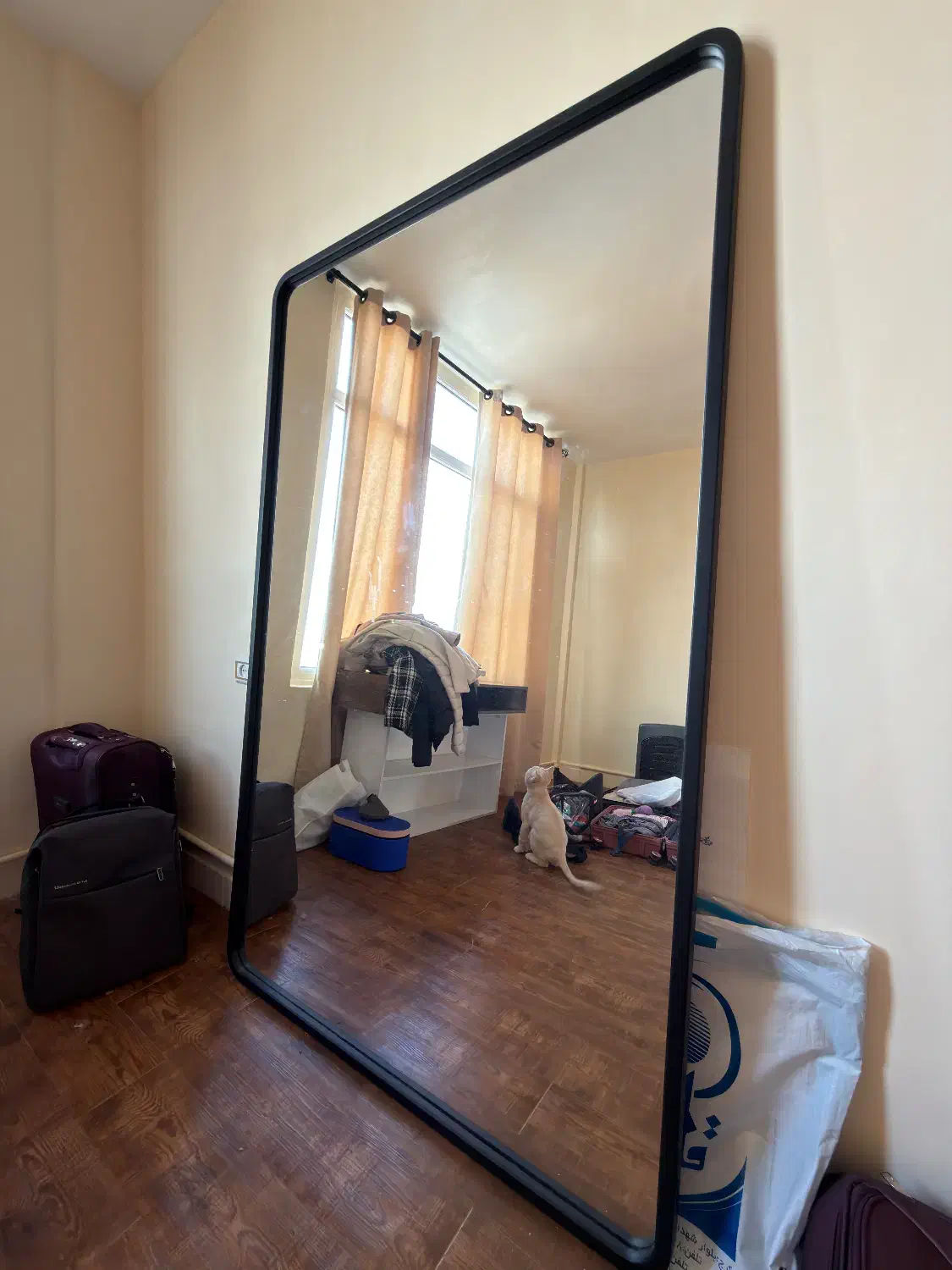 آینه قدی فریم mdf|آینه|کرج, کارخانه قند|دیوار