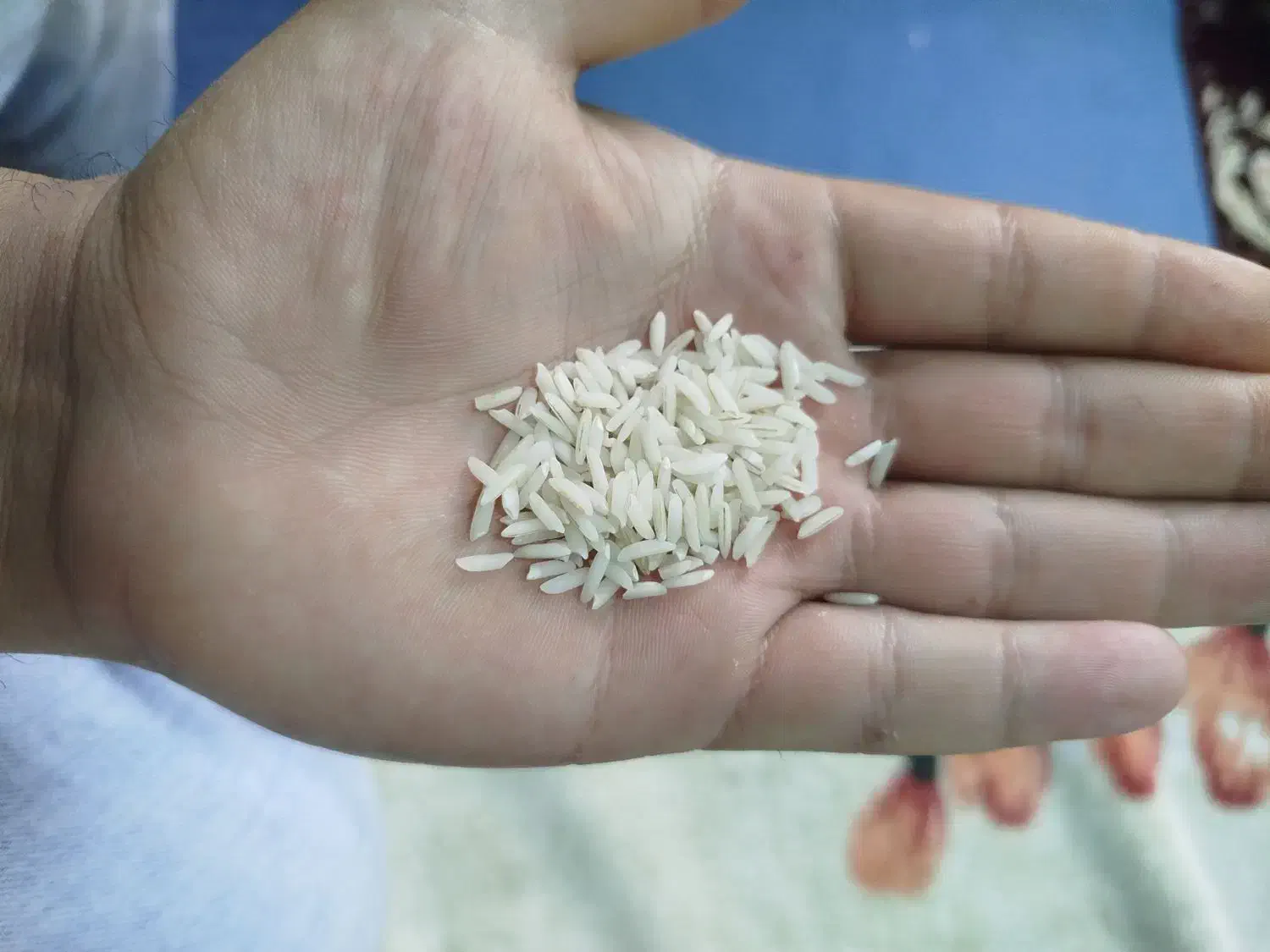 برنج هاشمی|خوردنی و آشامیدنی|بندر انزلی, چهارفریضه|دیوار