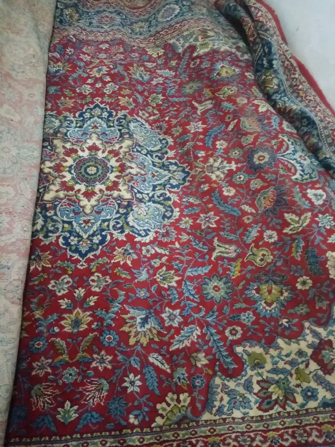 قالی 12متری|فرش|میان ولایت, |دیوار