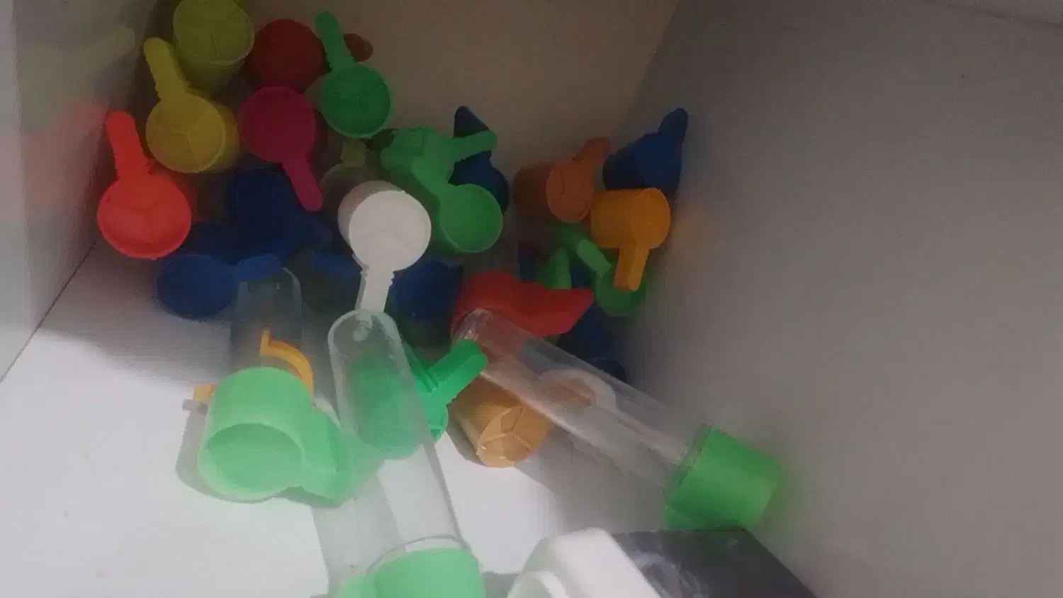 وسایل خوراک پرنده معاوضه با پرنده فنچ طوطی کوتوله|لوازم جانبی حیوانات|سیستان, |دیوار