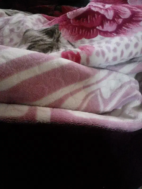 پتو...میشورم|لوازم نظافت|نیشابور, دارایی|دیوار