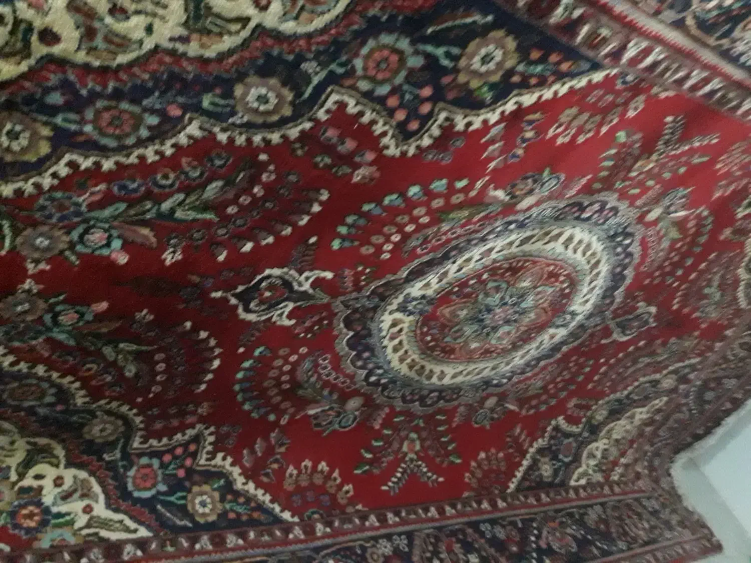 فرش شش متری دستباف در حد نو .کم پا خورده.سالم|فرش|رشت, استقامت ۱|دیوار
