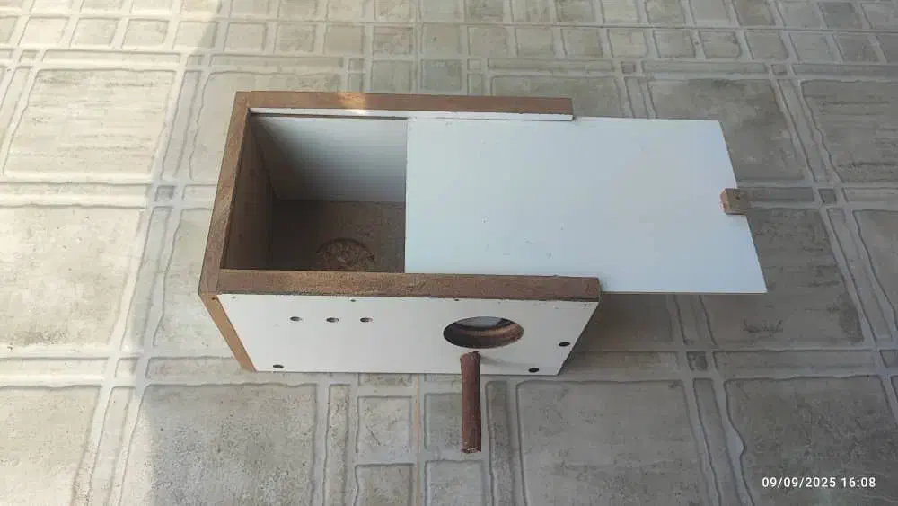 لونه پرنده میناب|لوازم جانبی حیوانات|میناب, |دیوار