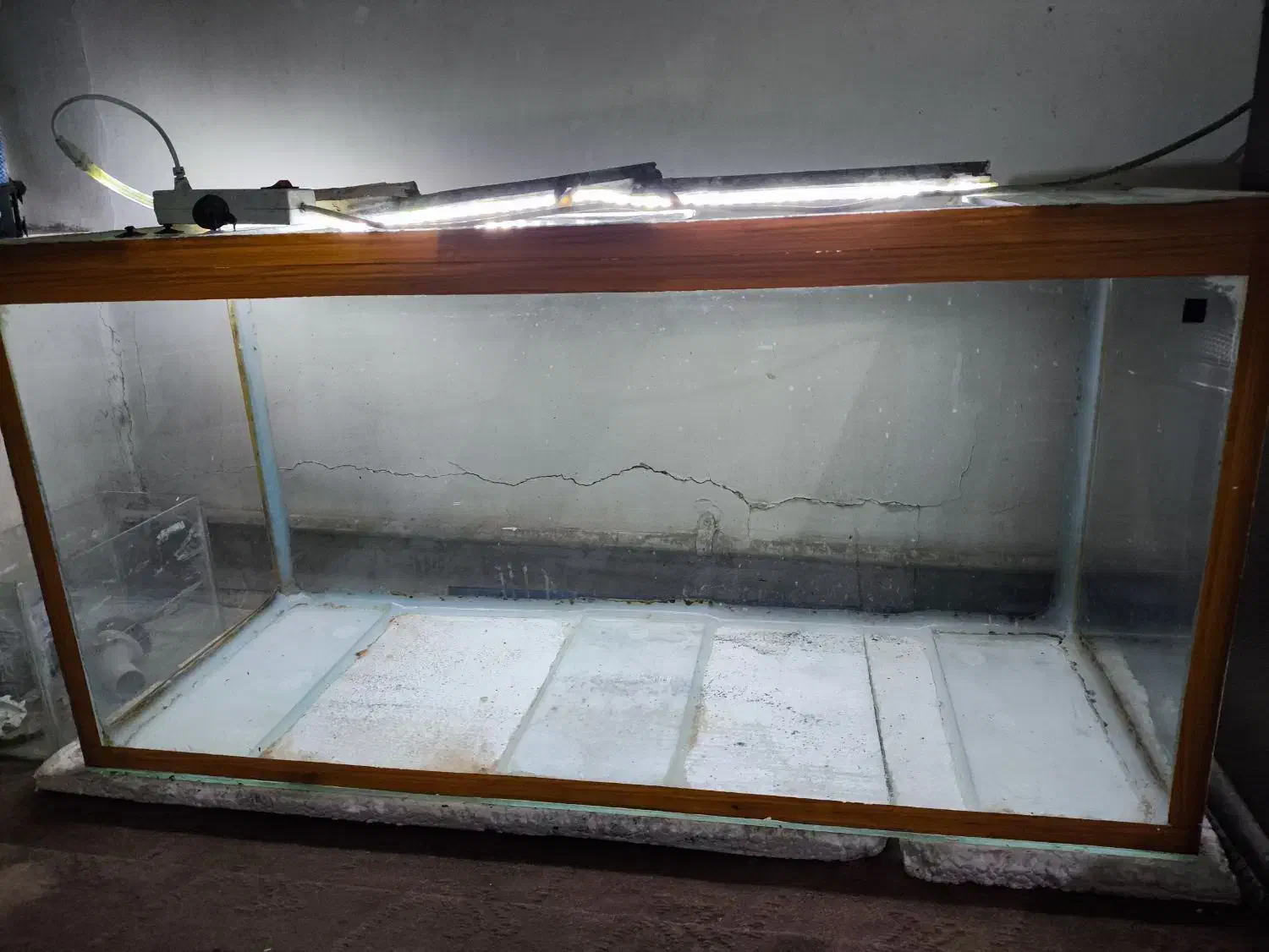 آکواریوم طول 100|ماهی|خمینیشهر, |دیوار