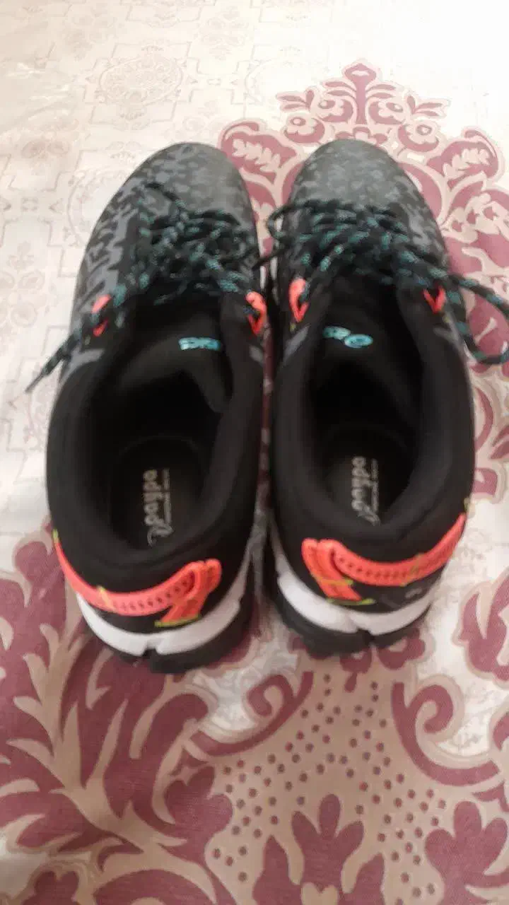 کفش کتونی زنانه|کیف، کفش، کمربند|مشهد, امیر|دیوار