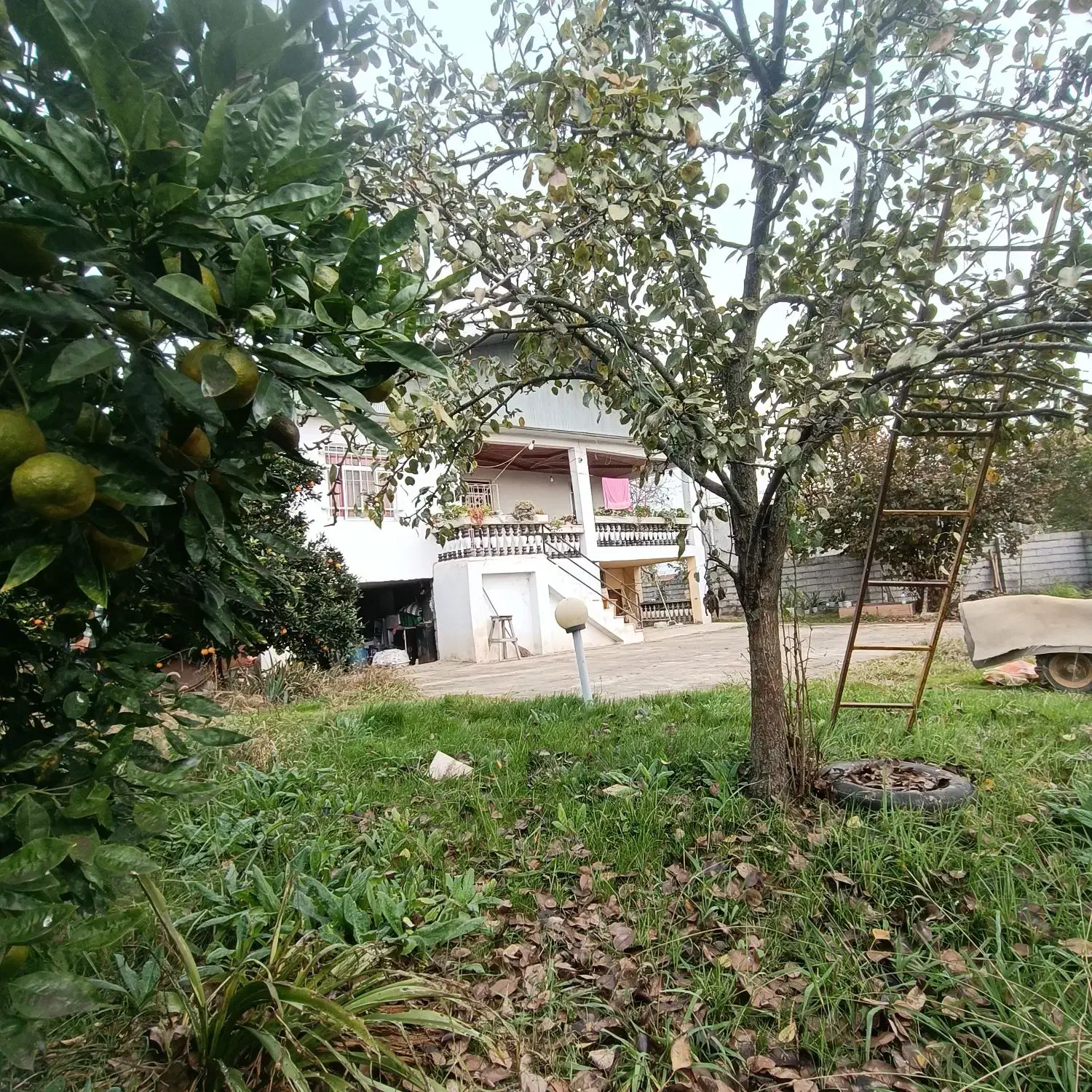 ویلای شهری ۷۰۵متری سند دار|فروش خانه و ویلا|رضوانشهر, |دیوار