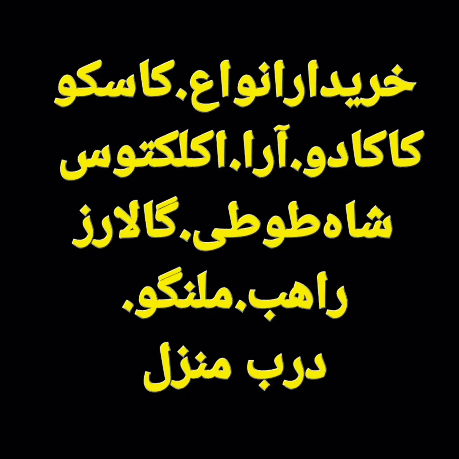 کاسکو کاکادو آرا شاه طوطی ملنگو راهب|پرنده|تهران, سید خندان (جلفا)|دیوار