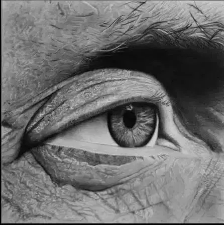 آموزش و سفارش نقاشی (سیاه قلم)|خدمات آموزشی|شیراز, شهرک ولیعصر|دیوار