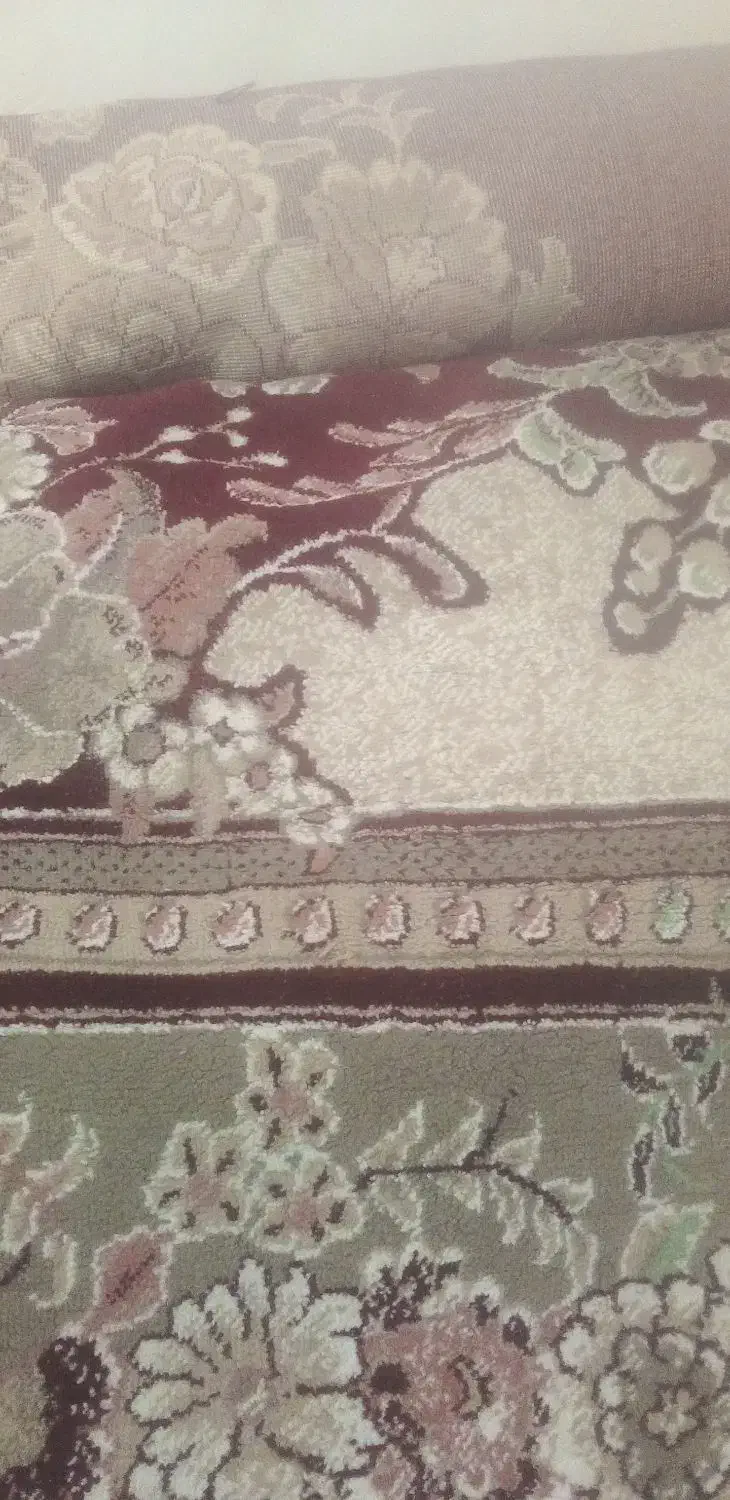 فرش|فرش|تایباد, |دیوار