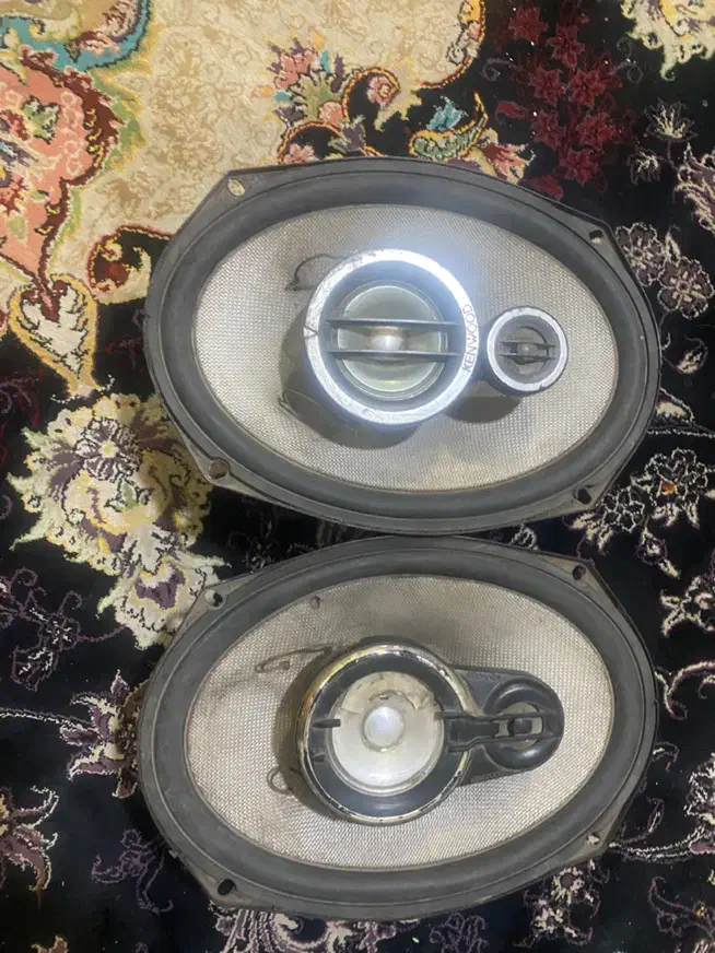 قناری جفت باند۷۱۸|پرنده|کرمان, |دیوار