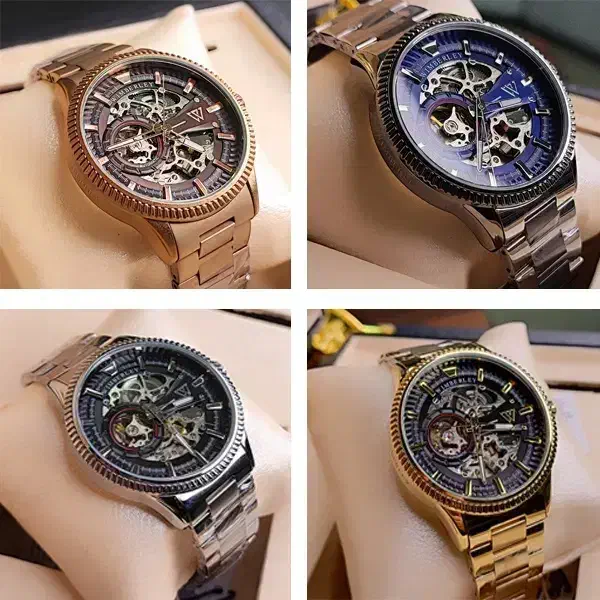 ساعت مچی مردانه ویمبرلی اتومات اورجینالWB-AS326G-F|ساعت|اصفهان, نقش جهان|دیوار