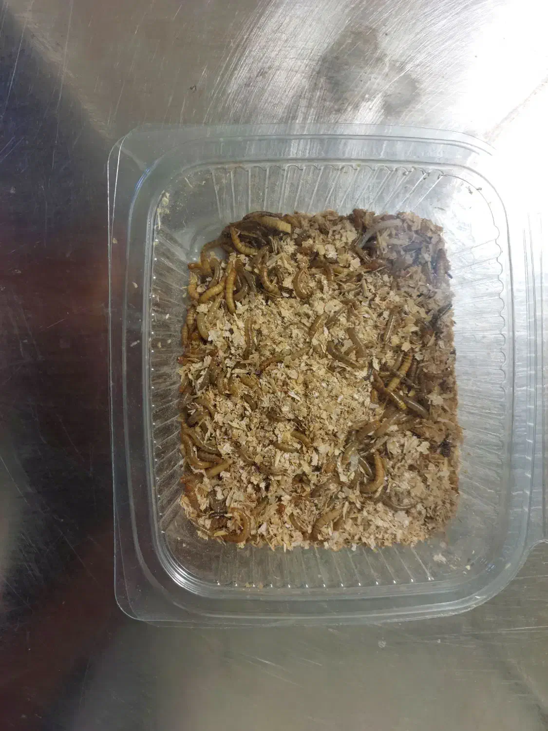 بستههای میلورم زنده|لوازم جانبی حیوانات|اهواز, دانشگاه چمران|دیوار