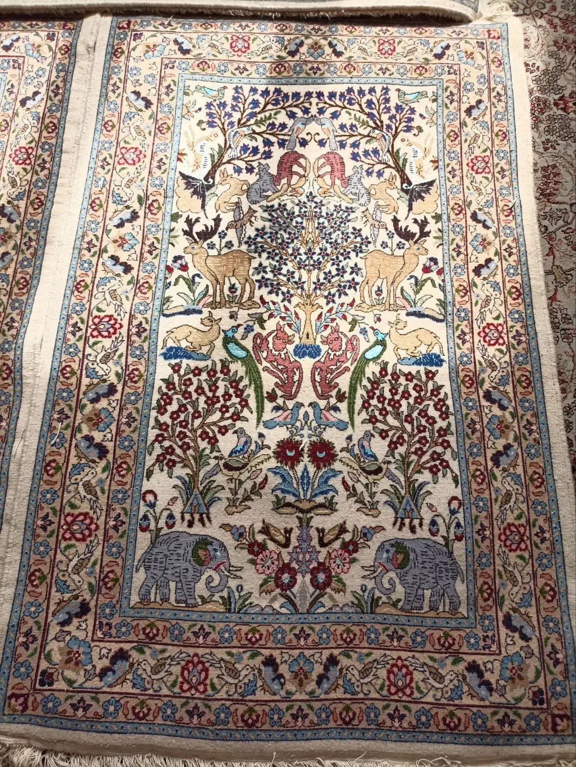 فرش دستبافت|فرش|بیرجند, |دیوار