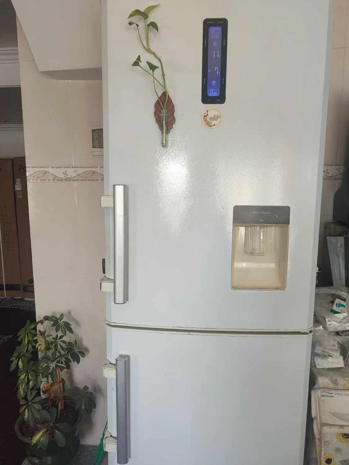 یخچال فریزر الکترواستیل|یخچال و فریزر|گنبد کاووس, |دیوار