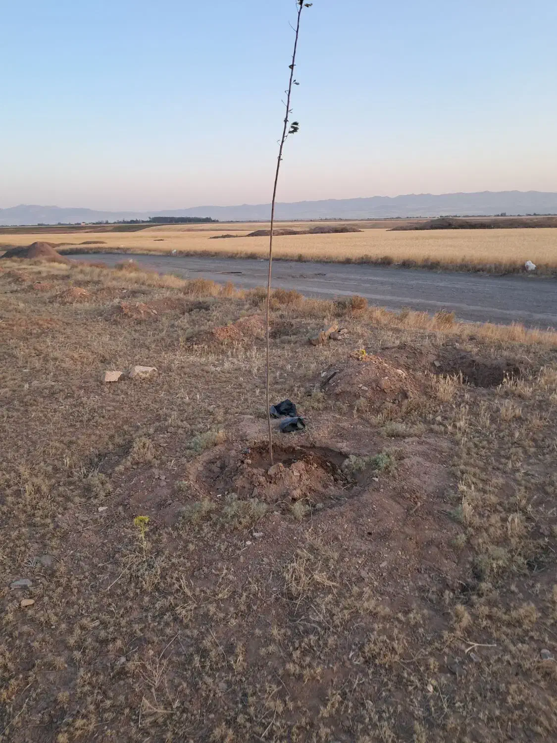 فروش زمین باغی توافقی فرودگاه|فروش زمین و ملک کلنگی|قره پشتلو, |دیوار