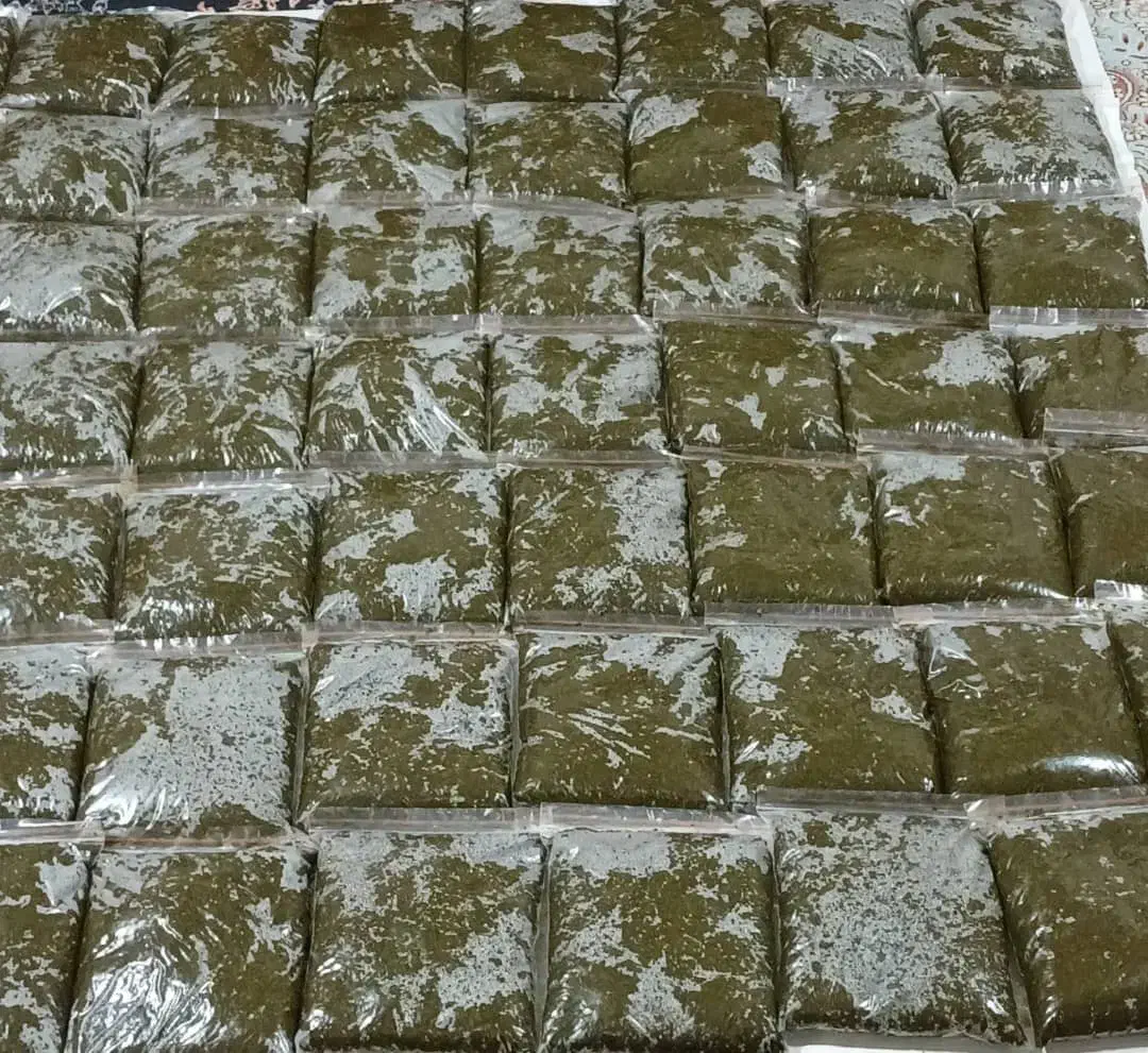 سبزی قورمه|عمده‌فروشی|پرند, فاز ۶|دیوار