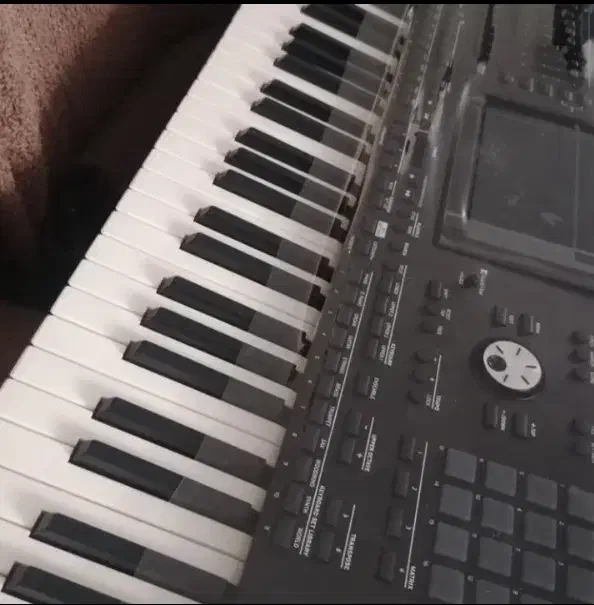 ارگpa5x|پیانو، کیبورد، آکاردئون|کرمانشاه, |دیوار