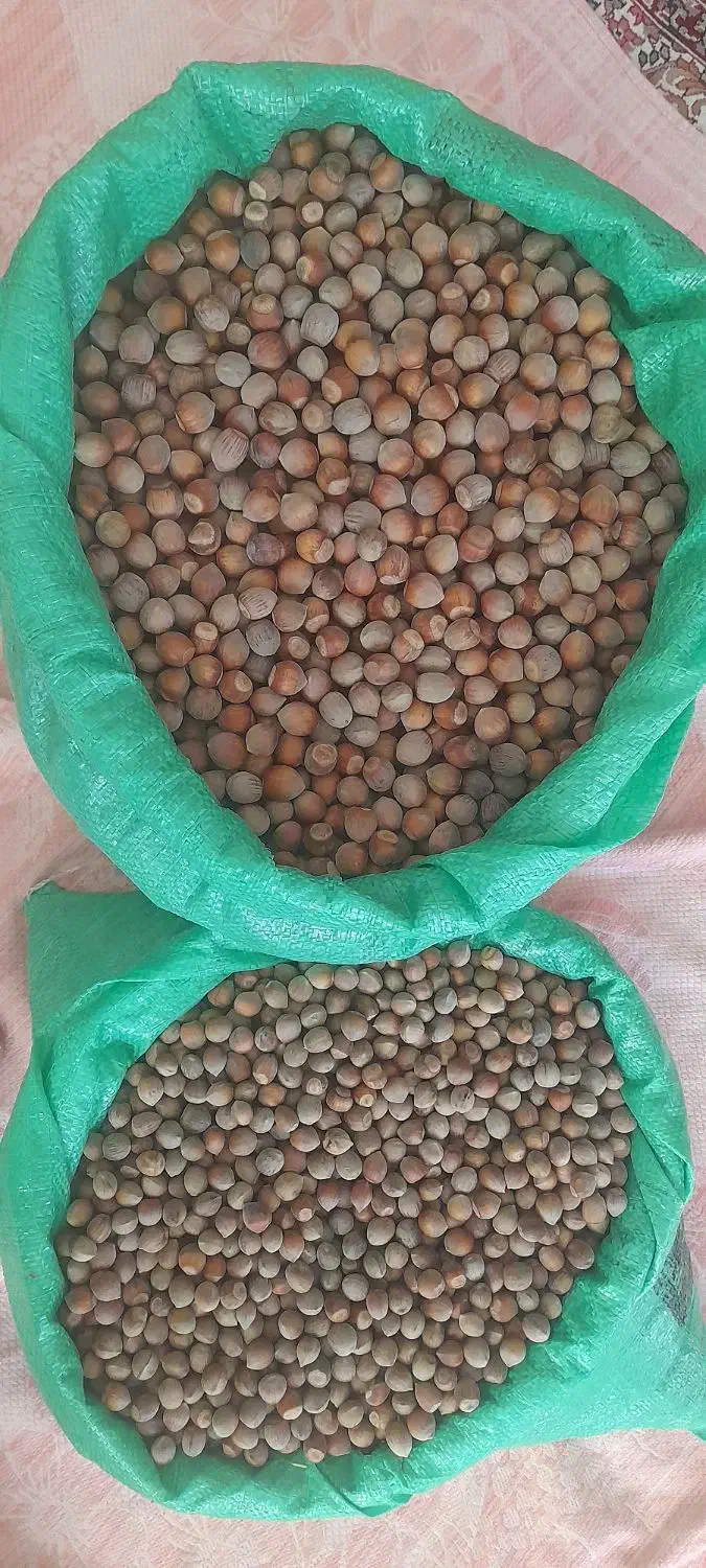 فندوق طارم|خوردنی و آشامیدنی|زنجان, |دیوار