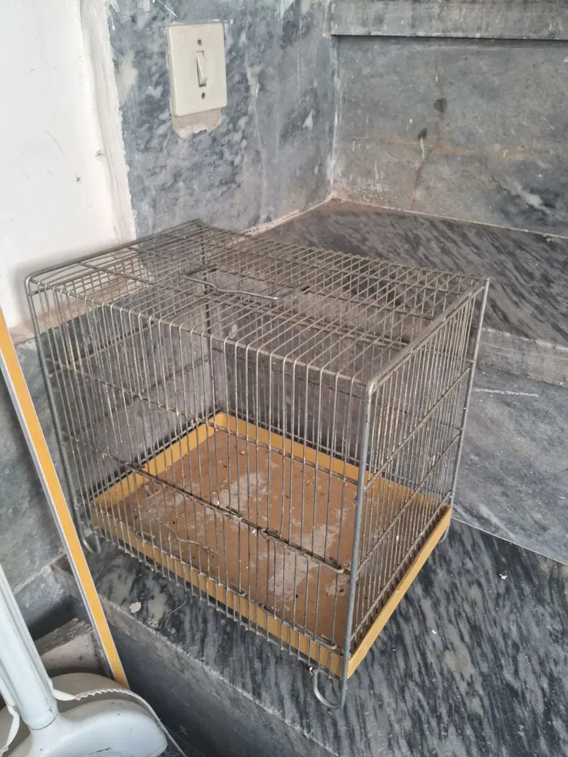 قفس غلامی|لوازم جانبی حیوانات|پاکدشت, پاکدشت (مامازند)|دیوار