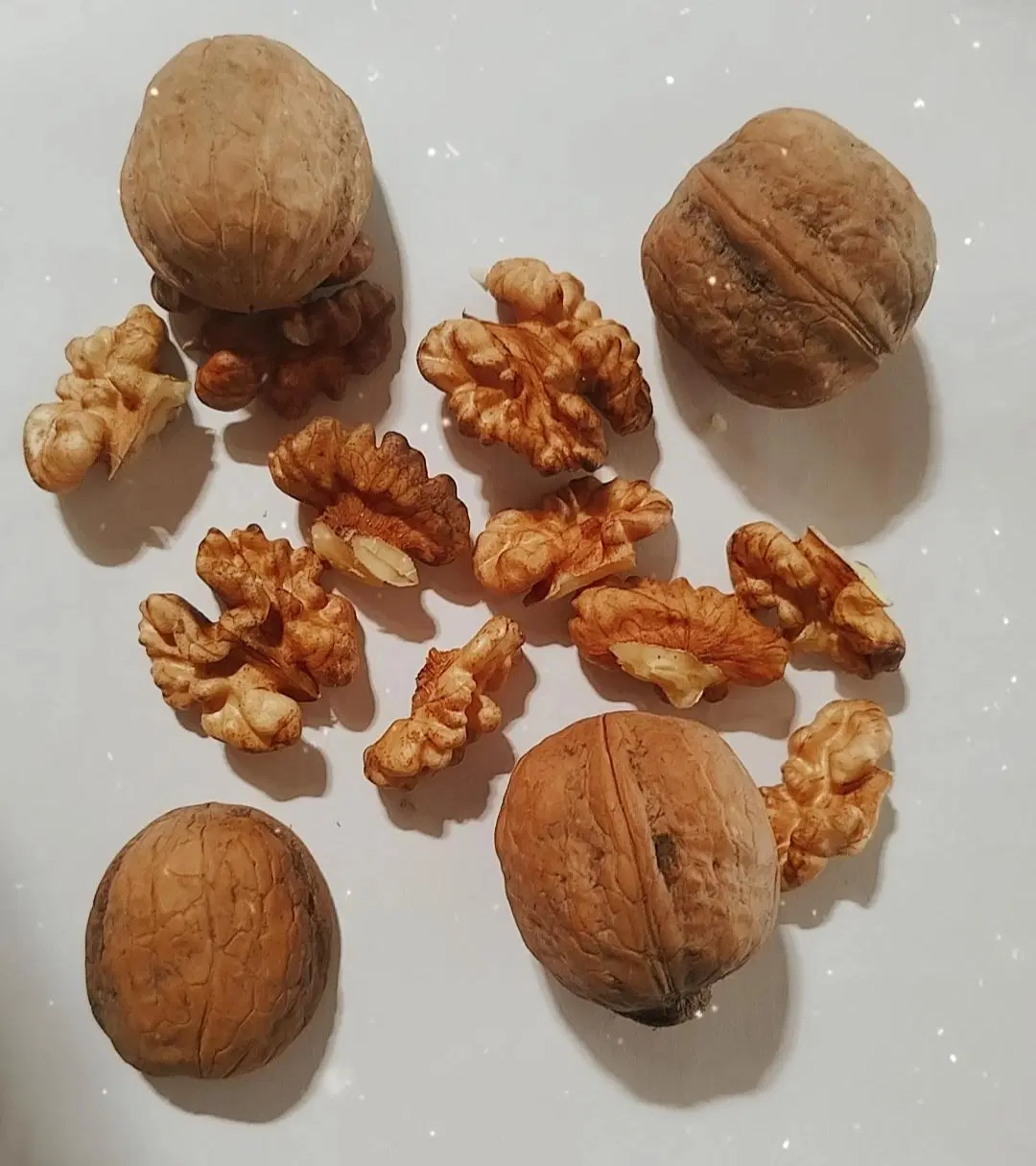 گردو|خوردنی و آشامیدنی|دورود, |دیوار