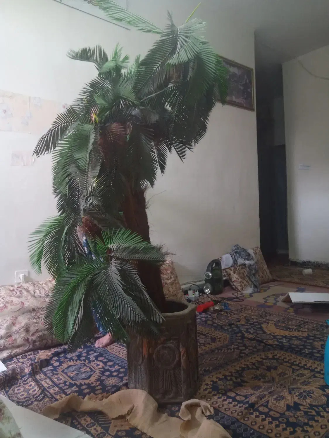 جراحی درختچه  مصنوعی|گل مصنوعی|زاهدان, |دیوار