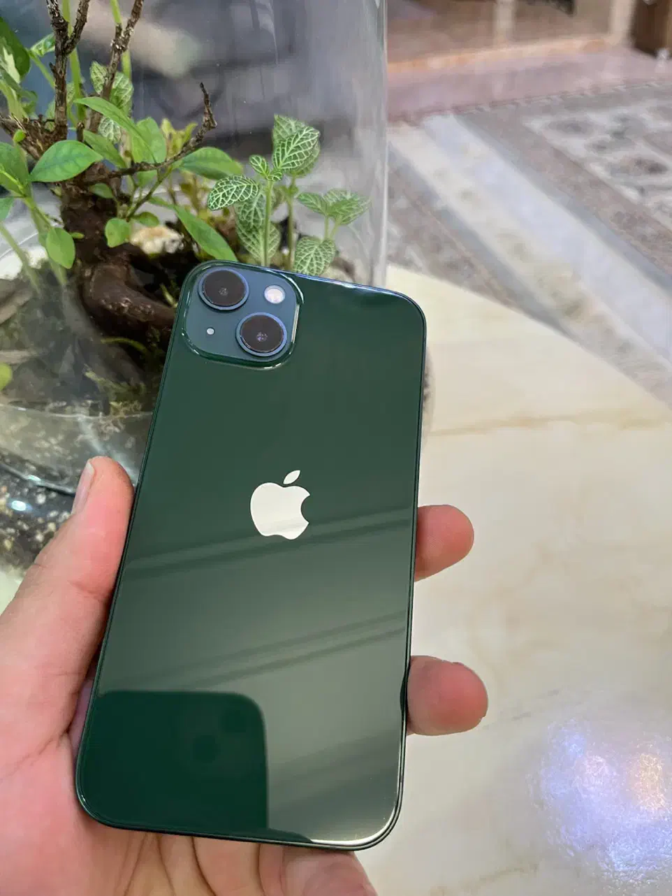 آیفون 13 نرمال ، 128|موبایل|یزد, |دیوار