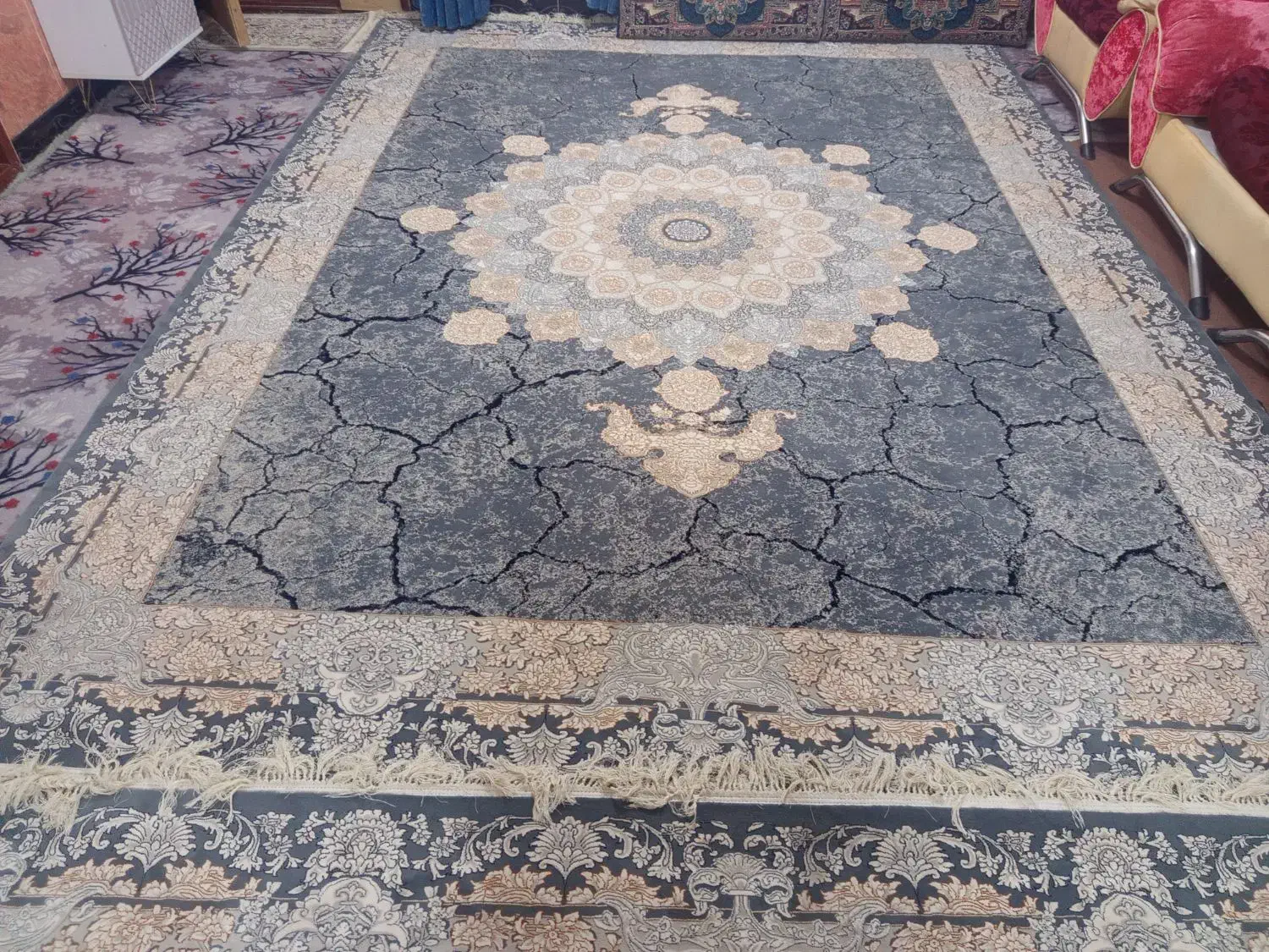 یک جفت قالی دوازه متری تمام نخ|فرش|تربت جام, میان جام|دیوار