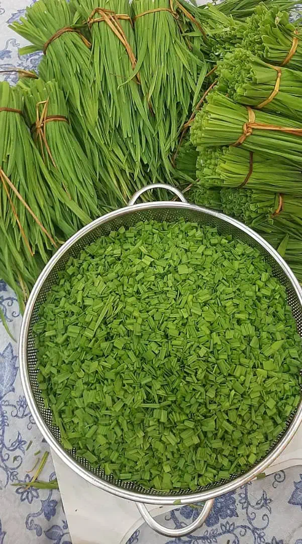 سس پیله|خوردنی و آشامیدنی|رشت, کوی مهر|دیوار