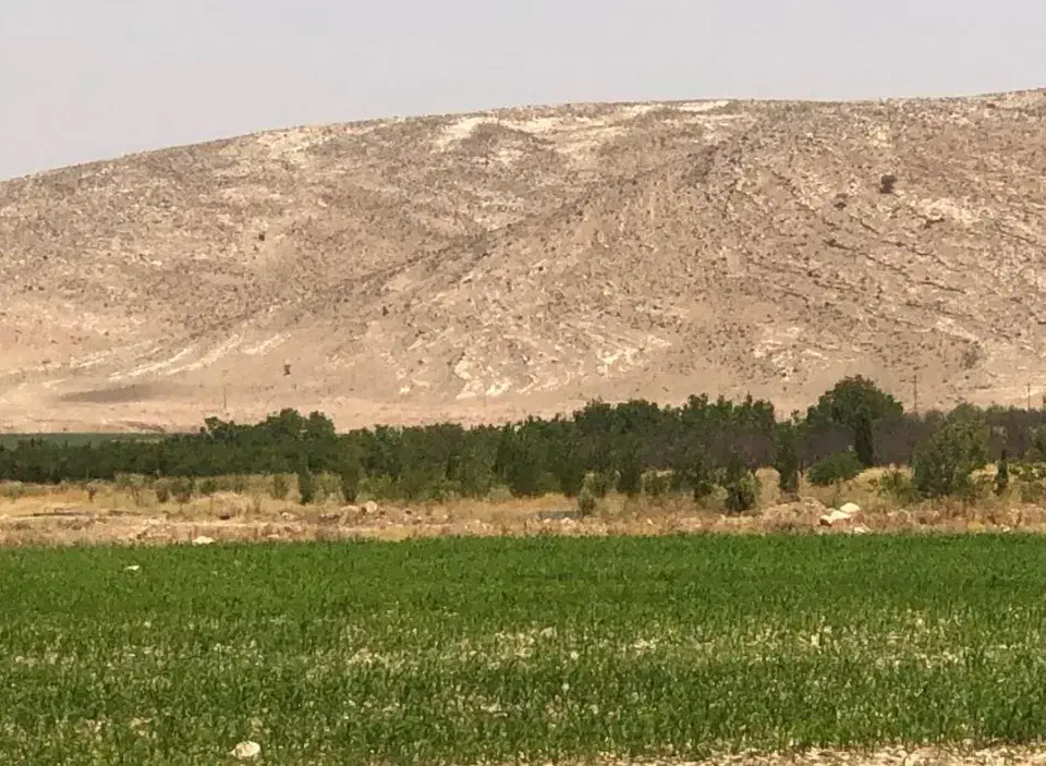 فروش نیم هکتار زمین زراعی  سند تک برگ ملوسجان|فروش دفتر صنعتی، کشاورزی، تجاری|شیراز, ابیوردی|دیوار