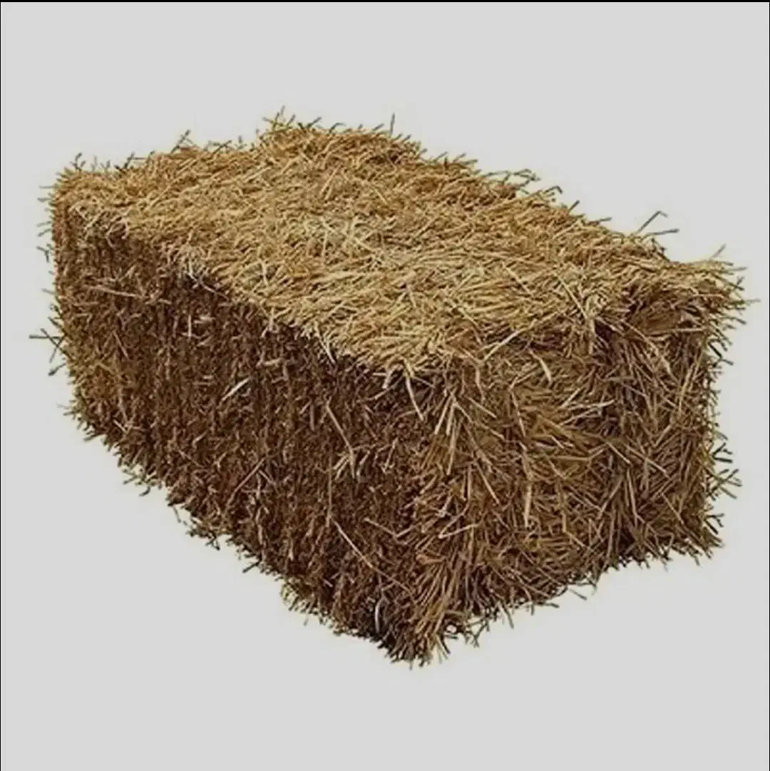 کاه برنج (کلوش)|لوازم جانبی حیوانات|آستانه اشرفیه, |دیوار