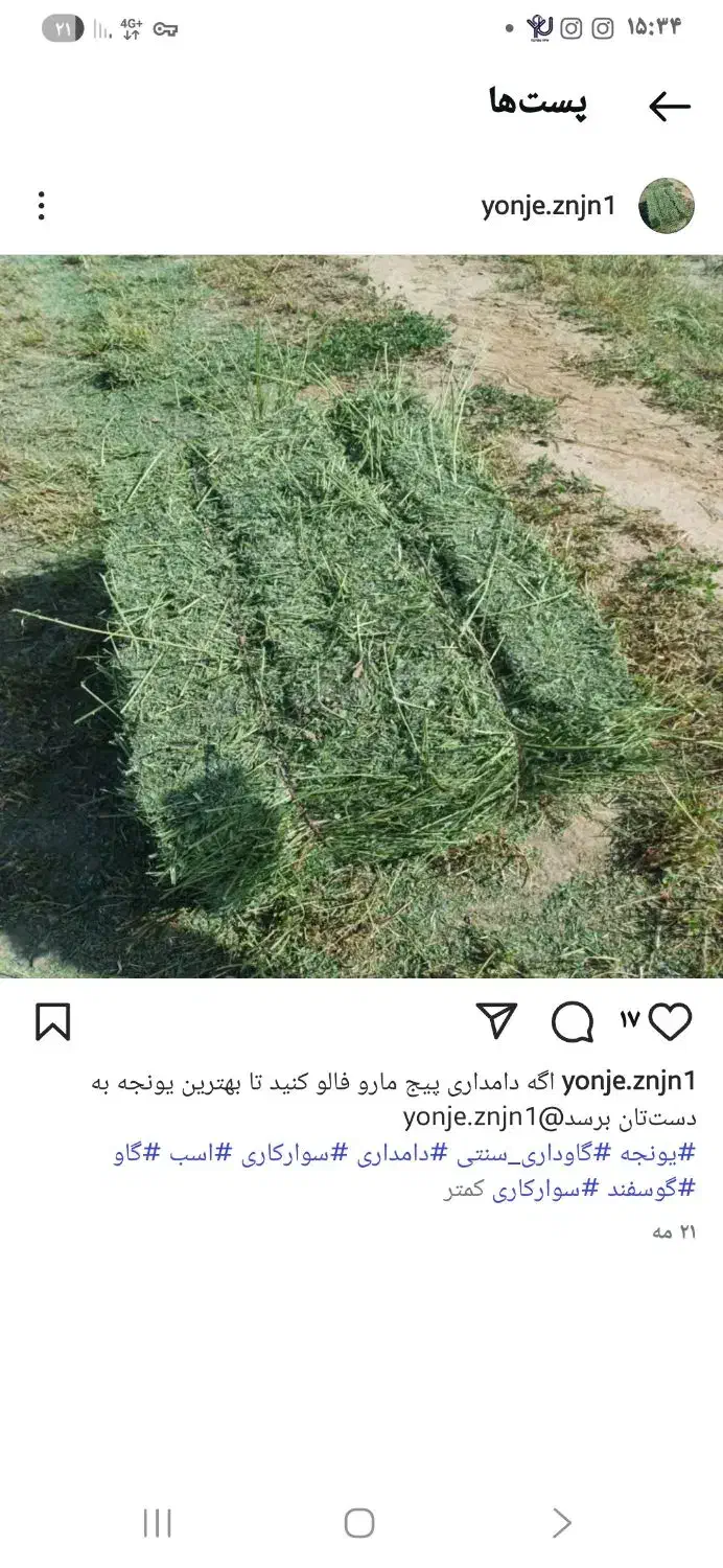 یونجه|عمدهفروشی|زنجانرود, |دیوار