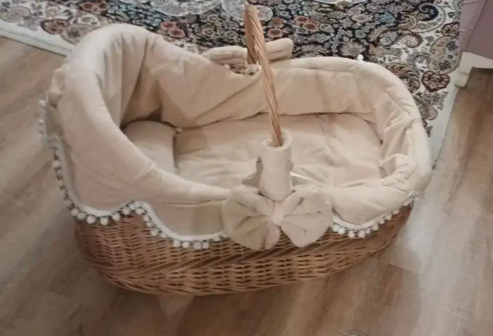 کریر سبدی سالم و تمیز یه بار استفاده کردم|کالسکه و لوازم جانبی|تهران, صد دستگاه|دیوار