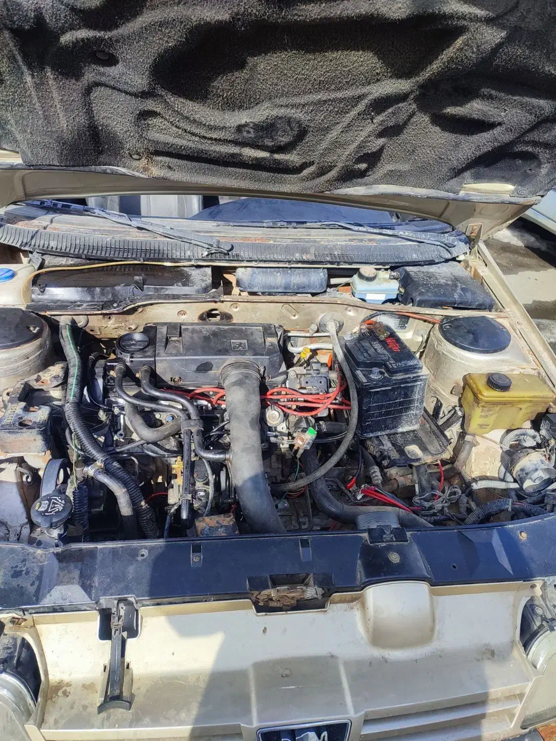 پژو 405.مدل 84|خودرو سواری و وانت|نقده, |دیوار