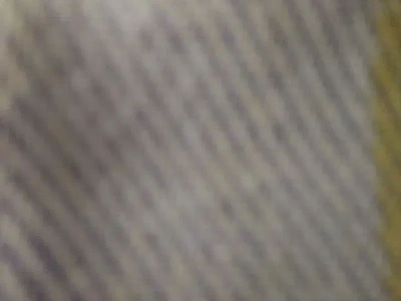 خرما|خوردنی و آشامیدنی|شیراز, آزادی|دیوار