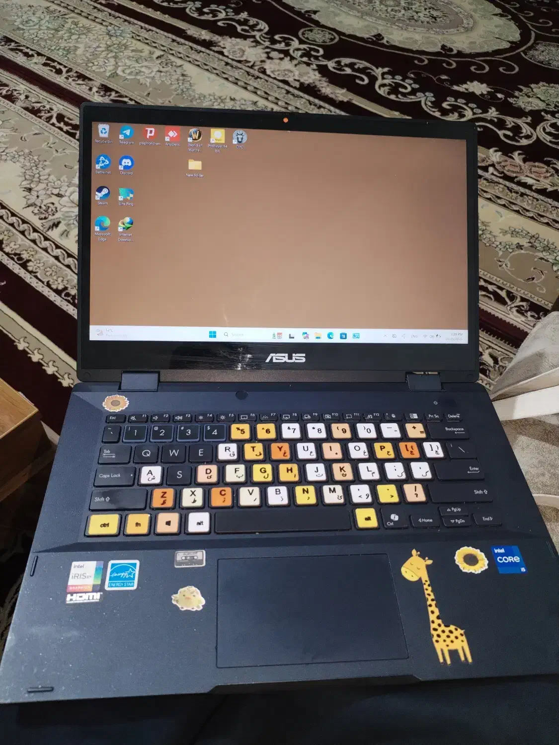 لپ تاپ ایسوس|رایانه همراه|شیراز, دروازه قران|دیوار