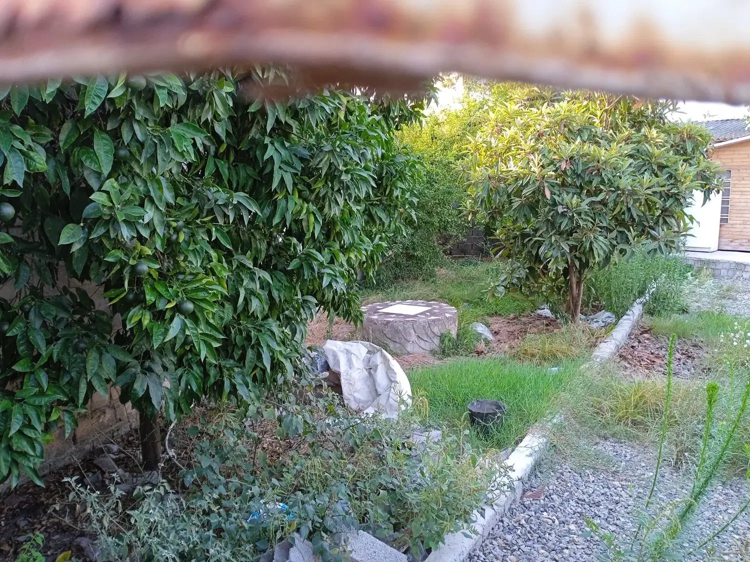 فروش زمین مسکونی در حسین آباد سرخرود مازندران|فروش زمین و ملک کلنگی|فریدون‌کنار, |دیوار