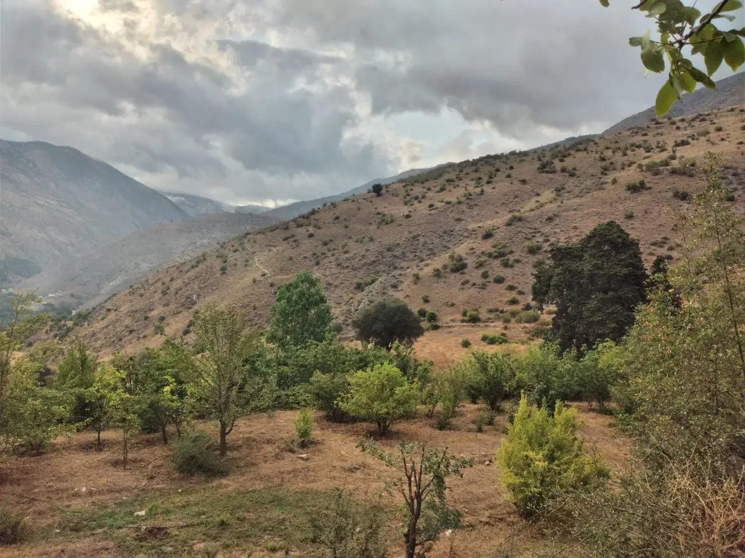 فروش زمین در روستای تکلیم|فروش زمین و ملک کلنگی|رودبار, |دیوار