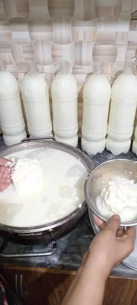 دوغ و کره محلی|خوردنی و آشامیدنی|زرگرشهر, |دیوار