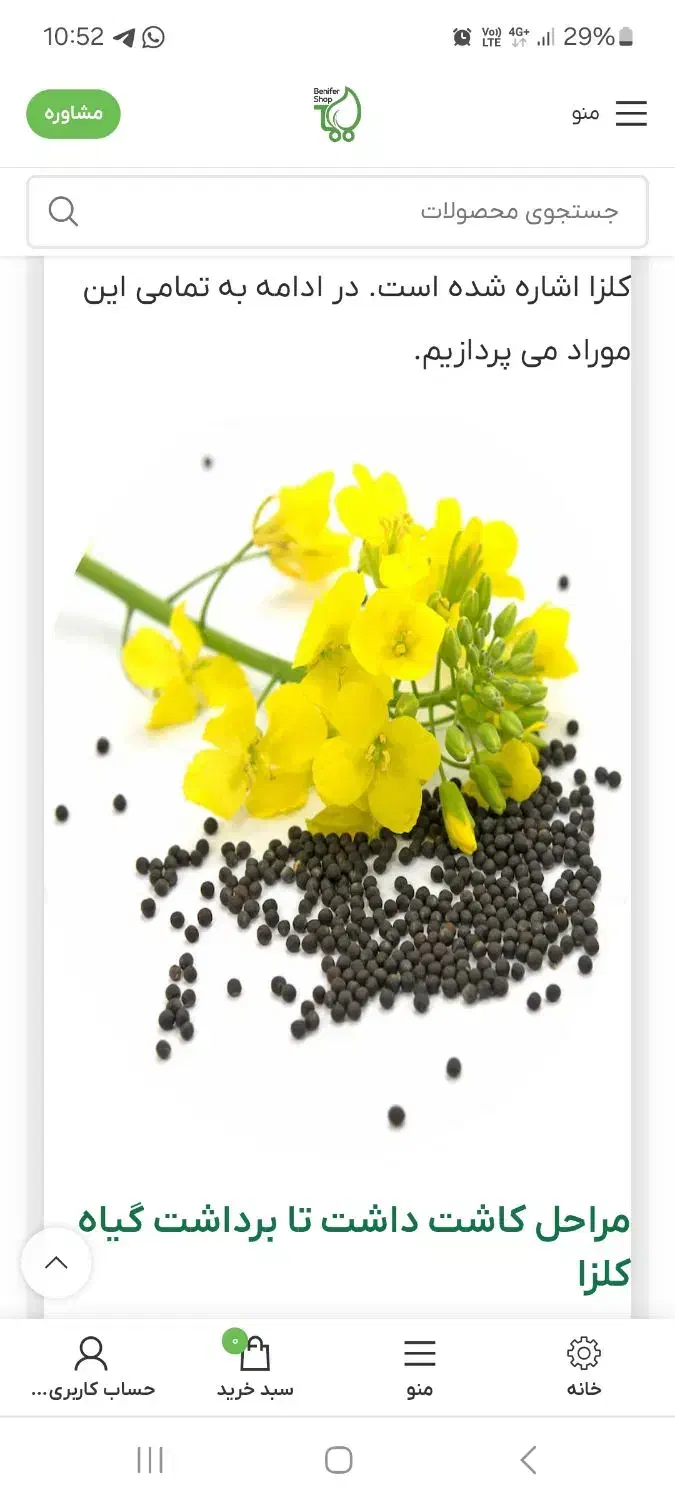 کلزا|خوردنی و آشامیدنی|اهواز, زرگان|دیوار
