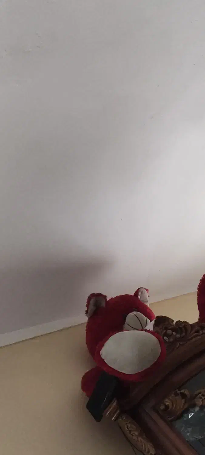 عروسک خرسی بزرگ|اسباب‌بازی بچه|قرق, |دیوار