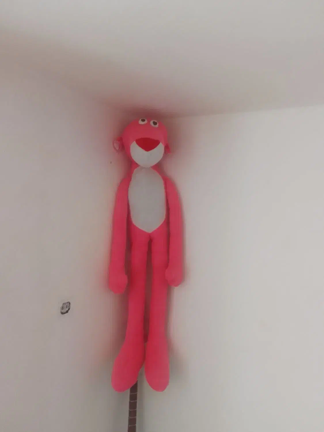 پلنگ‌صورتی|اسباب‌‌بازی|گرمی, |دیوار