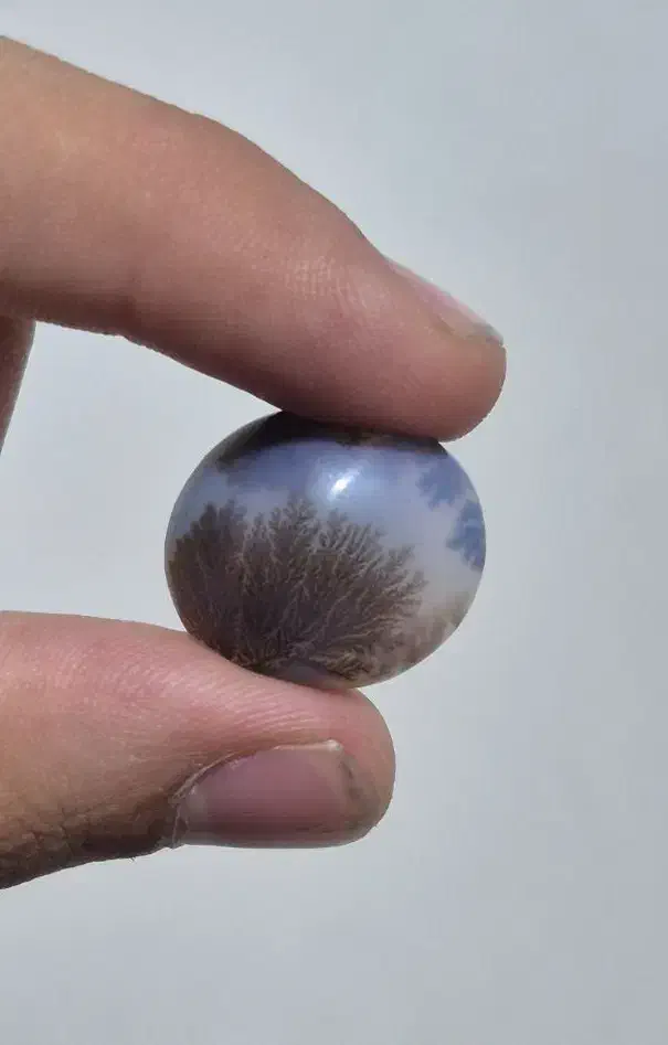 شجر قائن مناسب انگشتر و پلاک و دستبندهای کلکسیونی|جواهرات|تبریز, |دیوار