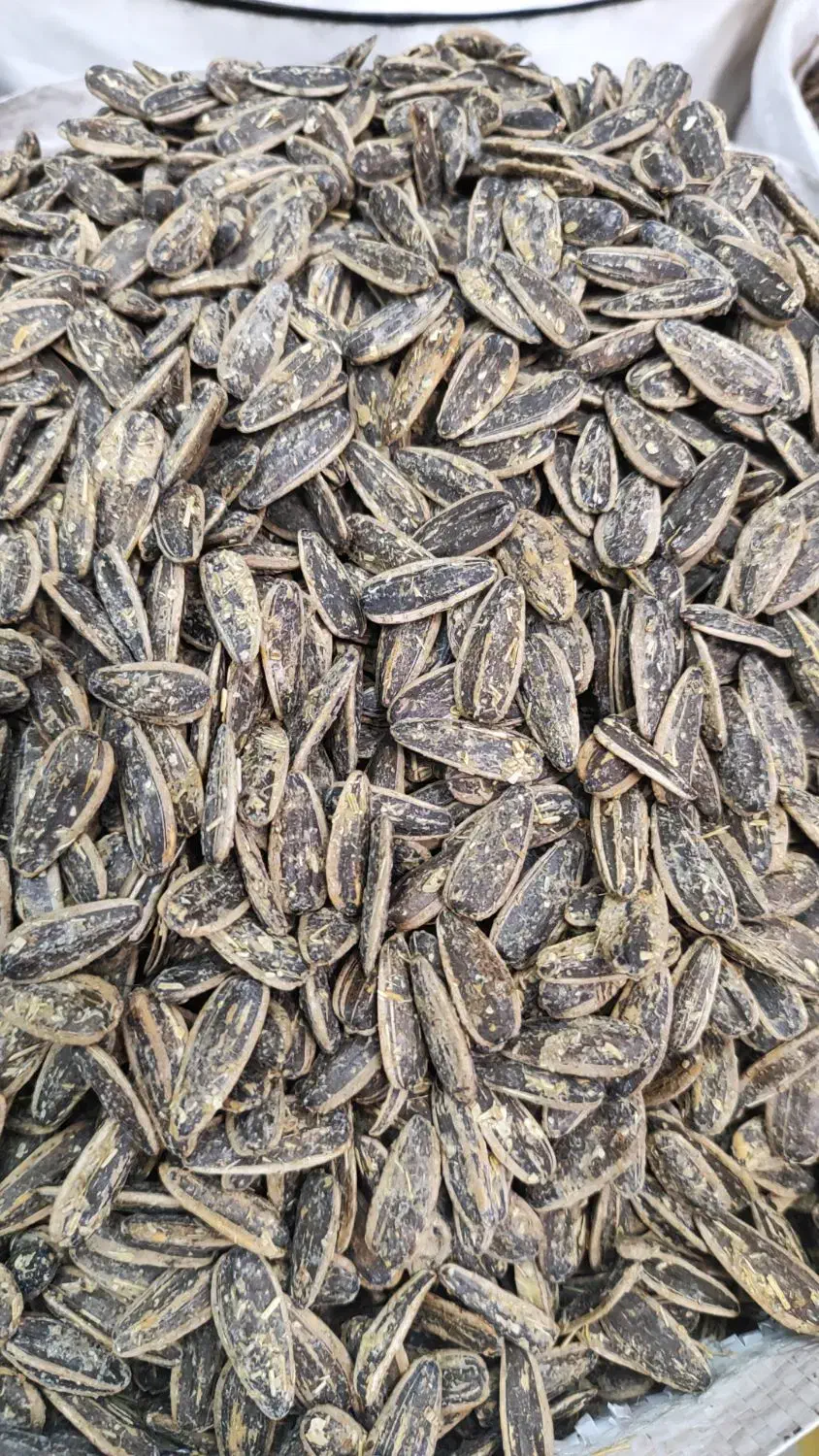 پخش عمده تخمه آفتابگردان و کدو|خوردنی و آشامیدنی|نظرآباد, نظرآباد|دیوار